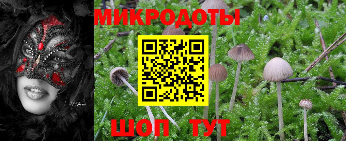 Псилоцибиновые грибы прущие грибы Вольск