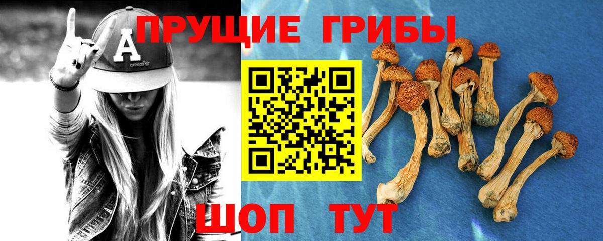 Галлюциногенные грибы MAGIC MUSHROOMS  Вход с VPN  Галлюциногенные грибы GOLDEN TEACHER  Вольск 